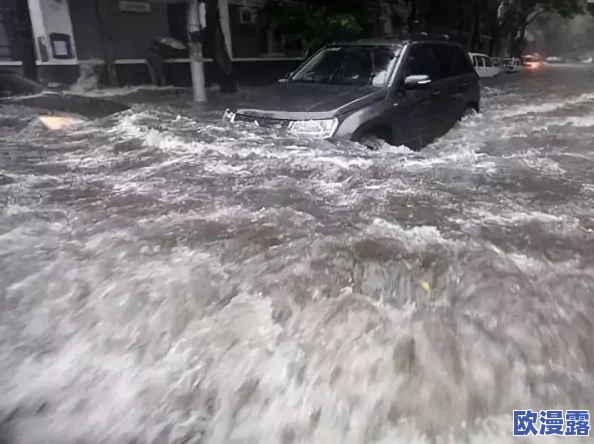 老人船上弄雨婷，讲述一段跨越年龄与经历的深情相遇，传递温暖与人性的光辉