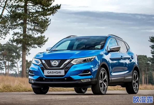 中文日产募无限码6区：传闻新车型即将发布，业内人士透露或将引入更多智能科技配置！