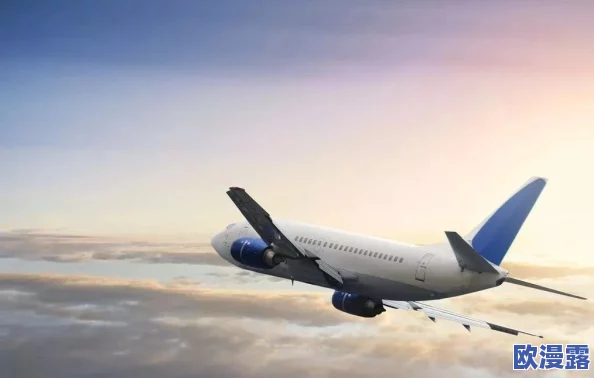 中国东方18_XXXXXL56edu:探讨中国东方航空的发展历程及其在国际航空市场的竞争策略与创新成就 中国东方18_XXXXXL56edu:探讨中国东方航空的发展历程及其在国际航空市场的竞争策略与创新成就