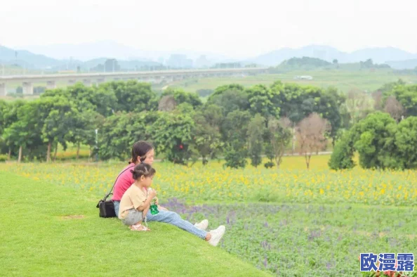 王者荣耀国庆庆典:如何免费获取限定皮肤详细攻略 王者荣耀国庆庆典:如何免费获取限定皮肤详细攻略