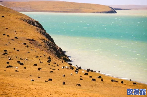 王者荣耀国庆庆典:如何免费获取限定皮肤详细攻略 王者荣耀国庆庆典:如何免费获取限定皮肤详细攻略