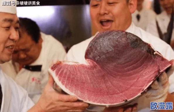 高清嘼皇bestiality：揭示动物与人类之间禁忌关系的深层次影响与社会反响