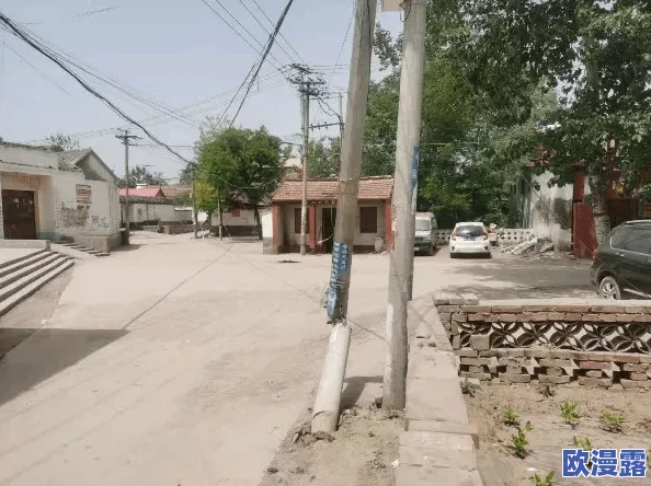 老BBwBBw BBwBBw：网友热议这一现象，认为其反映了当代年轻人的生活态度与社交方式的变化