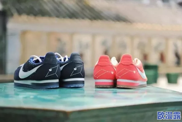 给大家推荐一下男生和女生一起的轮滑鞋,听说某明星情侣也在使用这款,效果超赞! 给大家推荐一下男生和女生一起的轮滑鞋,听说某明星情侣也在使用这款,效果超赞!