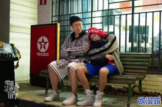 老卫与淑蓉：讲述一对夫妇在生活中面对的挑战与成长，以及他们对爱情与家庭的深刻理解与感悟