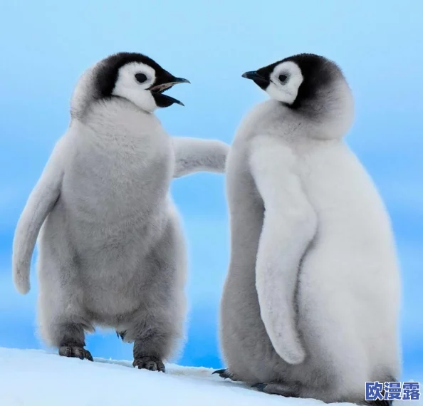 小情侣拔萝卜又叫又疼，意外发现隐藏的巨大根系引发欢笑与惊讶，感情更加升温！