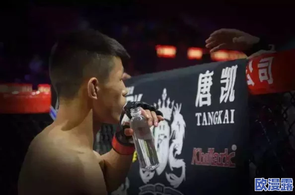 雷电将军腿法娴熟脚法图片在线观，传闻其背后隐藏着古老武学秘籍，引发众多粉丝热议与追捧！