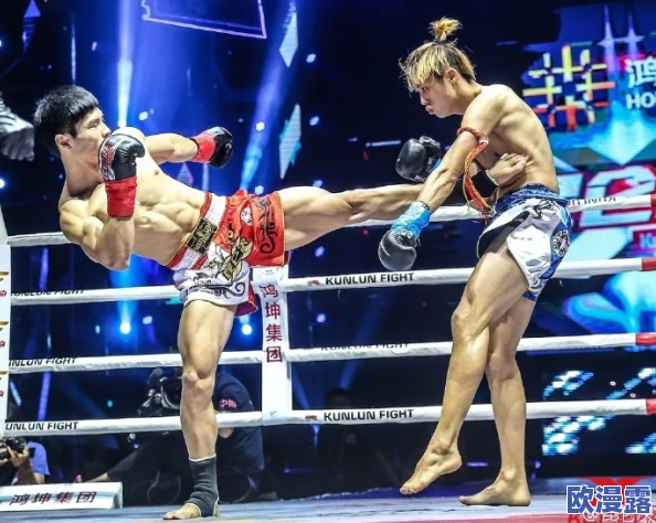 雷电将军腿法娴熟脚法图片在线观，传闻其背后隐藏着古老武学秘籍，引发众多粉丝热议与追捧！