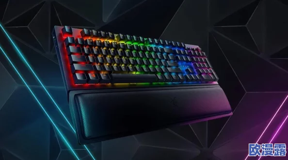 黑寡妇v3有线和无线区别:深入分析两种连接方式的性能、优缺点及适用场景 黑寡妇v3有线和无线区别:深入分析两种连接方式的性能、优缺点及适用场景