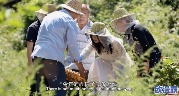 柴火垛里的疯狂55集蜂窝网:传闻某知名导演在拍摄现场意外发现隐藏的神秘宝藏,引发圈内热议! 柴火垛里的疯狂55集蜂窝网:传闻某知名导演在拍摄现场意外发现隐藏的神秘宝藏,引发圈内热议!