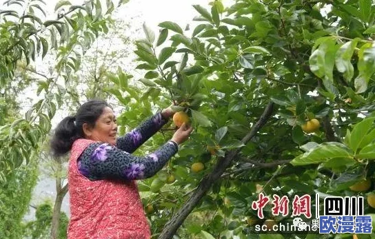 精产国品一二三产区糖心：推动地方经济发展，助力农民增收的最新进展与成果分析