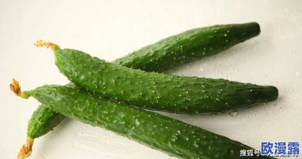 草莓香蕉榴莲黄瓜丝瓜茄子:多种水果与蔬菜的营养价值及其在健康饮食中的重要性分析 草莓香蕉榴莲黄瓜丝瓜茄子:多种水果与蔬菜的营养价值及其在健康饮食中的重要性分析