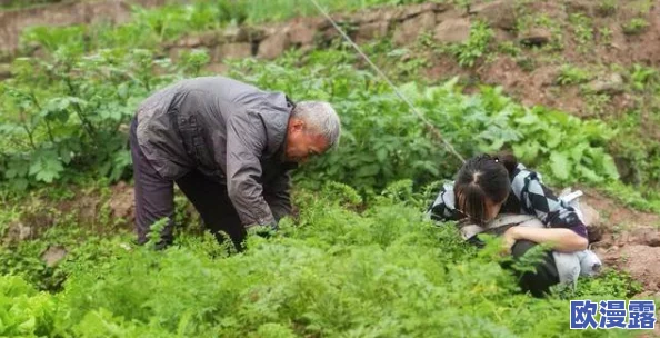 拔萝卜又叫又疼:农民在收获季节面临的挑战与辛酸故事逐渐浮出水面 拔萝卜又叫又疼:农民在收获季节面临的挑战与辛酸故事逐渐浮出水面