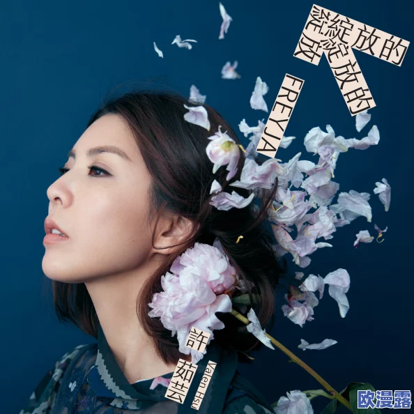 《我是苏畅我回来了6部曲》：苏畅的归来与成长历程，揭示个人奋斗与青春回忆的深刻内涵，传递积极向上的人生观