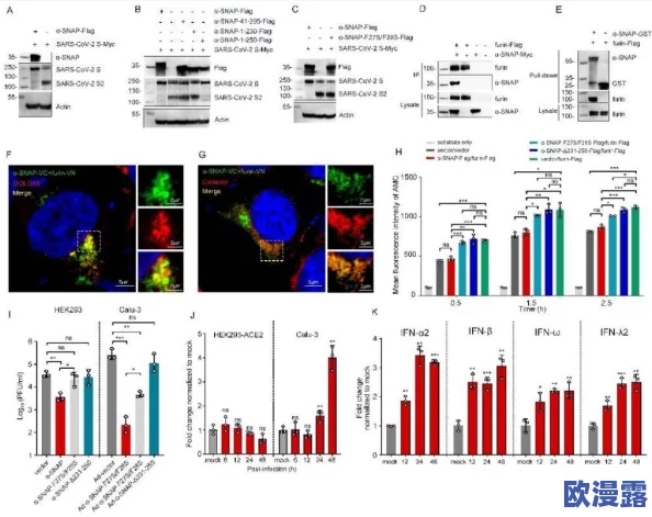 流萤自我奖励被发现，研究揭示其背后复杂的心理机制与行为动机分析