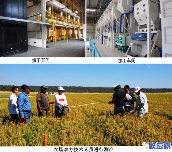 Zoom农场和Zoom牧场：全球首个虚拟农业展会即将上线，推动数字化农业新模式发展