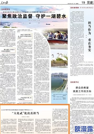 黑料不打烊,万里长征官：探寻背后深藏的政治博弈与社会热点，引发大众对权力与责任的思考