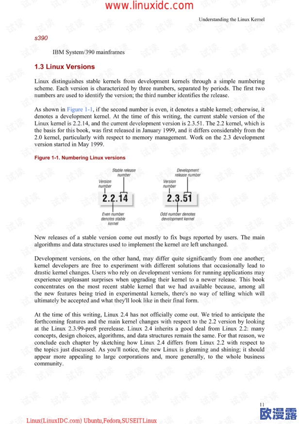 缅甸前4后8是什么意思？深入解析这一术语的背景与含义，了解其在缅甸社会中的重要性与影响