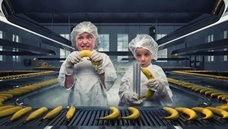 久久婷婷大香萑太香蕉a:震惊!全球首个可食用塑料袋在实验室成功研发,或将改变环保未来! 久久婷婷大香萑太香蕉a:震惊!全球首个可食用塑料袋在实验室成功研发,或将改变环保未来!