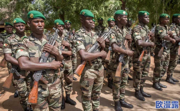 30分钟无遮挡机机对机机：深入分析无人机技术在现代军事中的应用与发展趋势