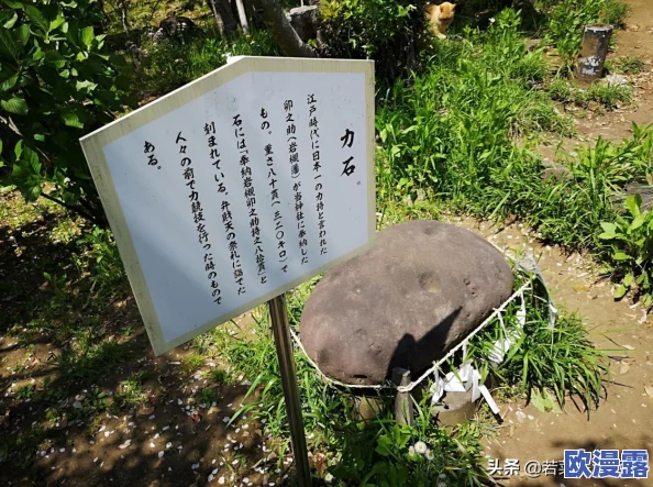 DNF游戏中神龙天女角色选哪个称号更加合适 DNF游戏中神龙天女角色选哪个称号更加合适