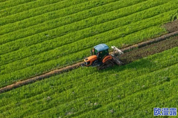 2024热门必玩!肝度满满的种田手游大盘点,你准备好了吗? 2024热门必玩!肝度满满的种田手游大盘点,你准备好了吗?